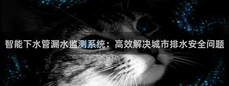 天辰娱乐61116