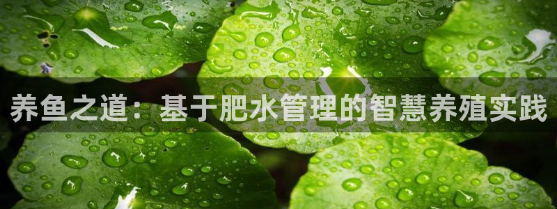 天辰娱乐best
