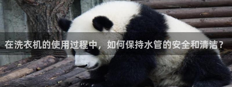 深圳天辰娱乐