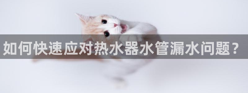 天辰娱乐所