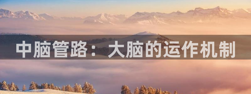 天辰平台娱乐