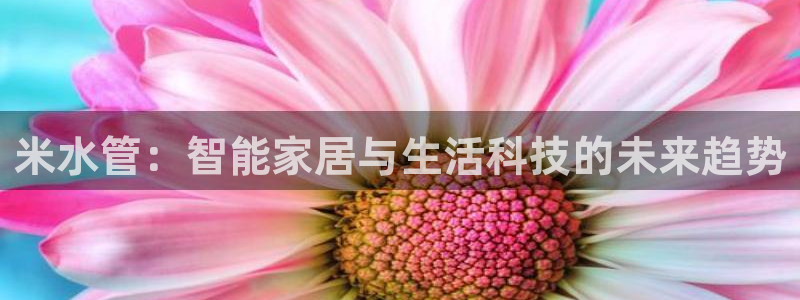 天辰娱乐总管