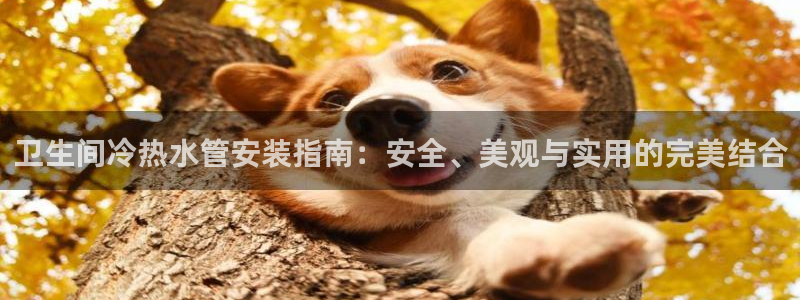 天辰天辰娱乐