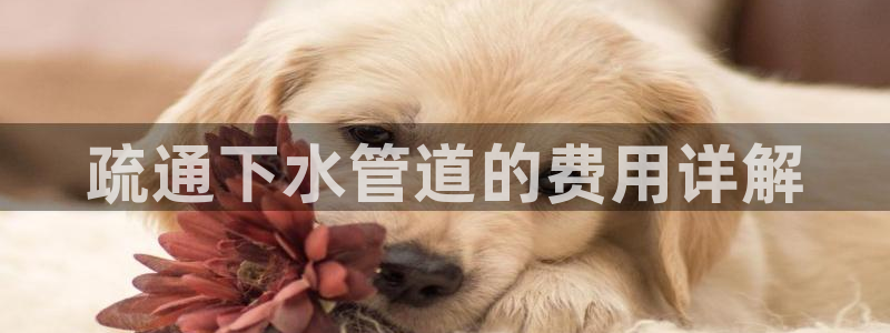 天辰娱乐服务