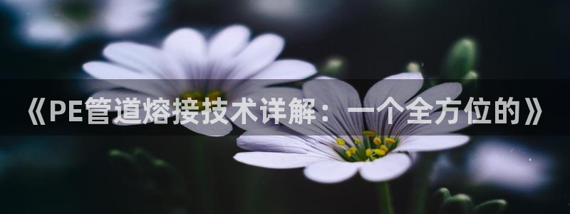 天辰宝宝娱乐