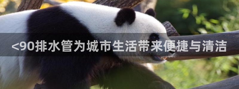 菲律宾天辰娱乐