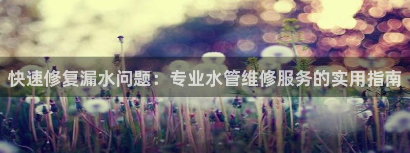天辰娱乐上级