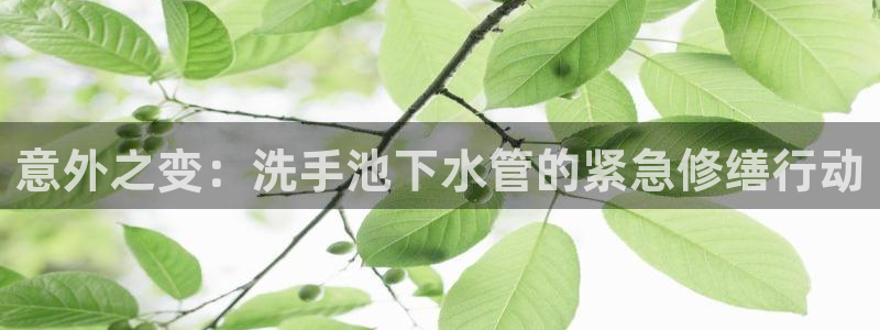 天辰娱乐APP下载