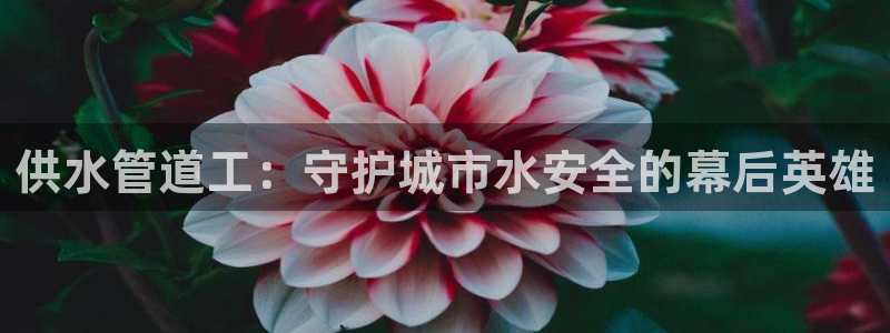天辰娱乐会员