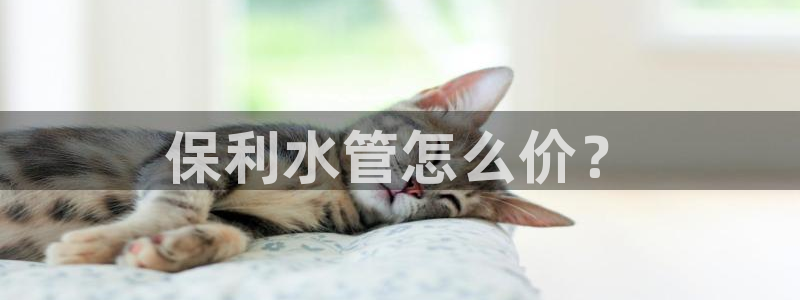 天辰娱乐在哪