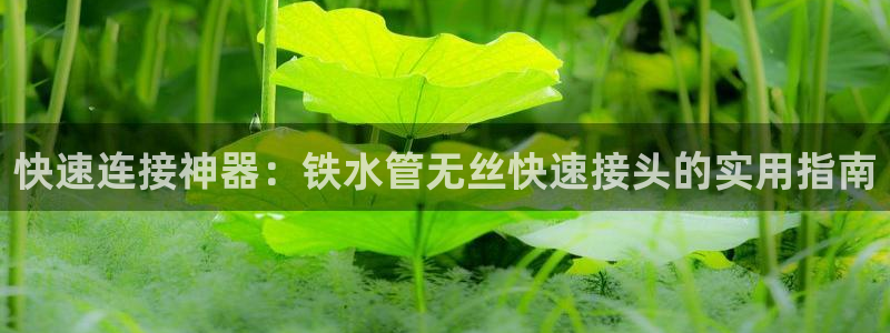 辰天娱乐用品