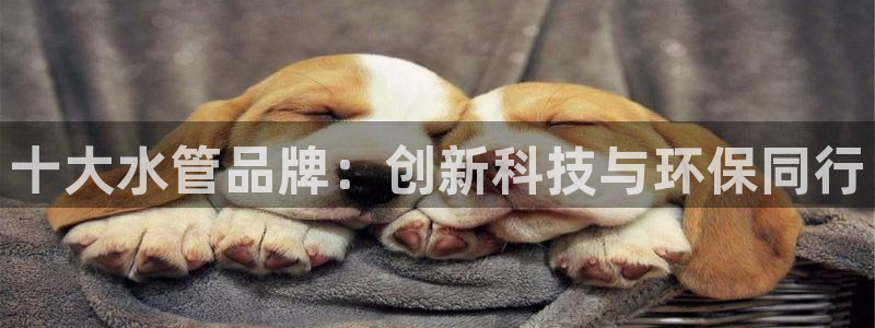 天辰娱乐 qq