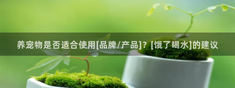 天辰娱乐厕所