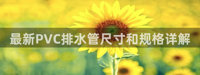 天辰娱乐557696