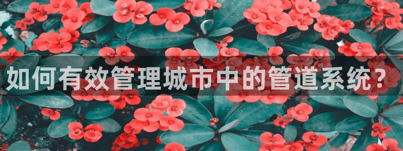 天辰娱乐棋牌