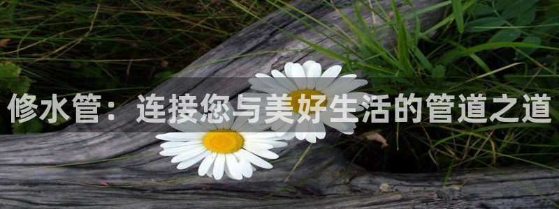 天辰娱乐首页
