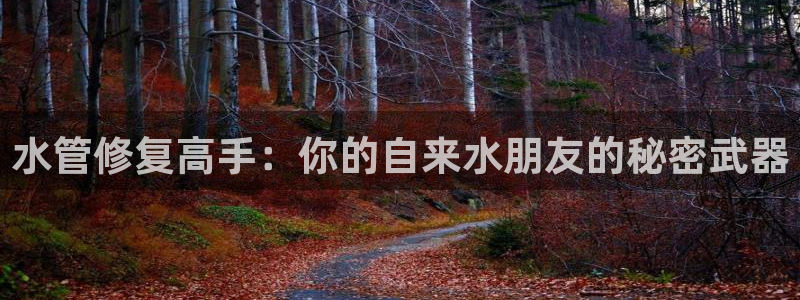 天辰娱乐海洋