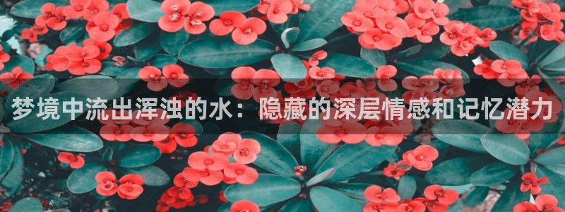 天辰娱乐首选