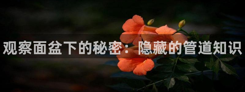 天辰娱乐_ 18113