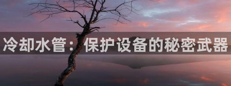 天辰臣娱乐