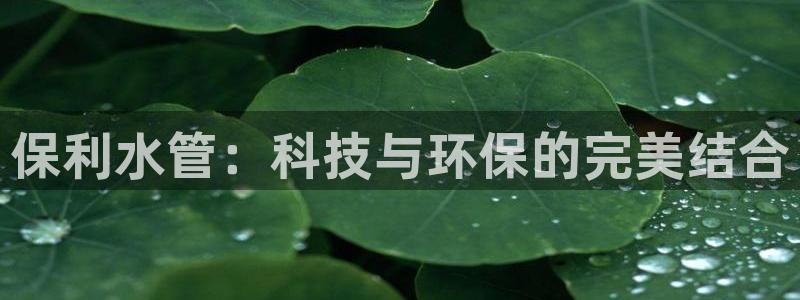 天辰娱乐44516