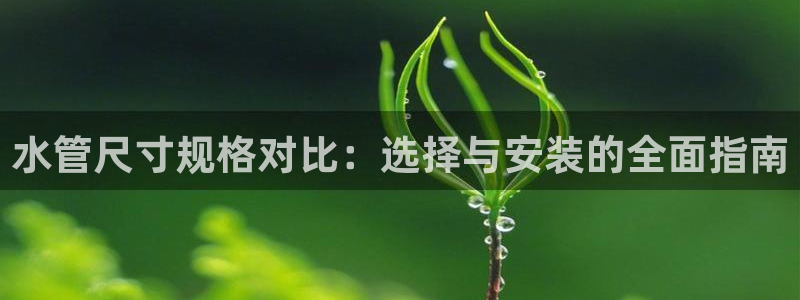 天辰娱乐待遇