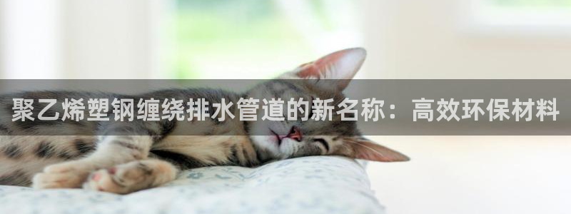 天辰娱乐 主管