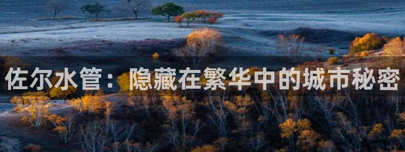 天辰娱乐彩票