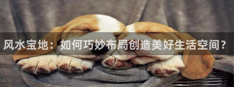 天辰娱乐登陆