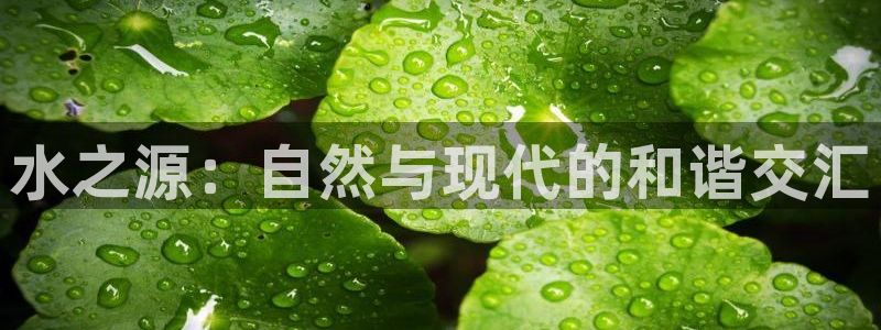天辰臣娱乐