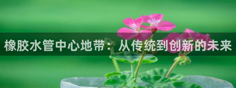 天辰娱乐游戏平台怎么样