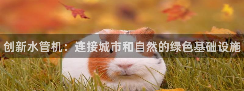 天辰娱乐注册登录