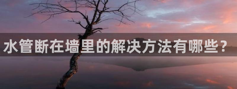 天辰娱乐平台注册