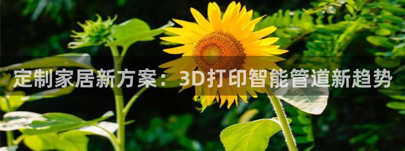 天辰娱乐平台娱乐注册