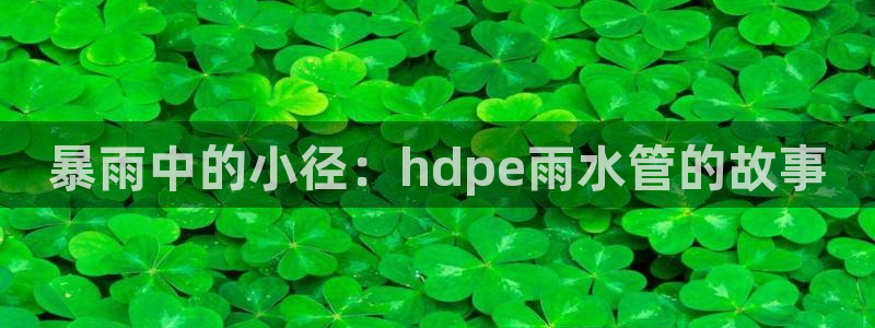 菲律宾天辰娱乐