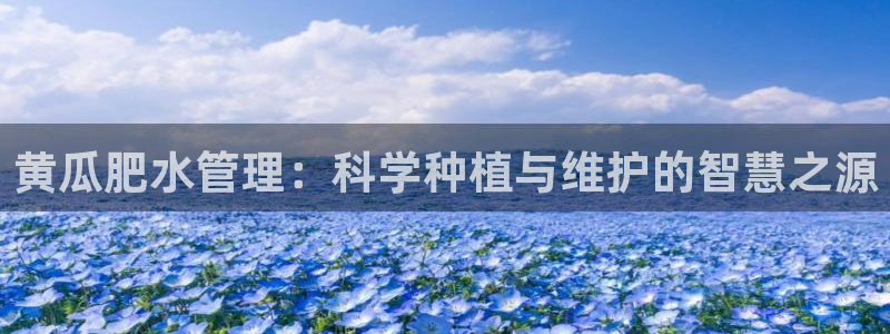 天辰娱乐平台注册