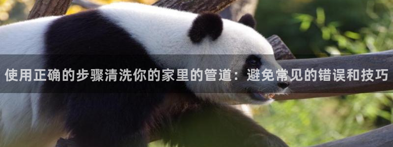 天辰娱乐平台登录账号