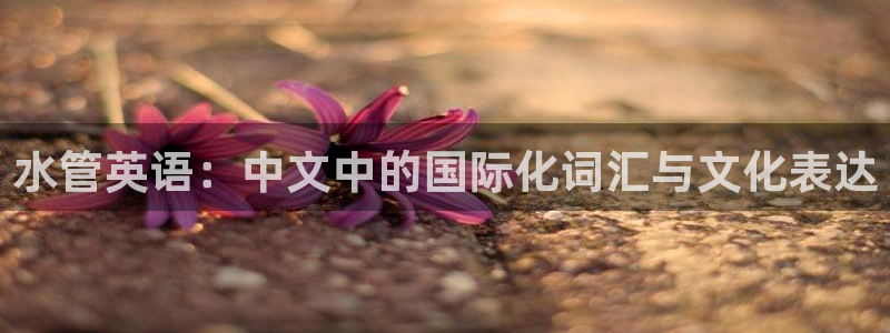 天辰娱乐注册登录